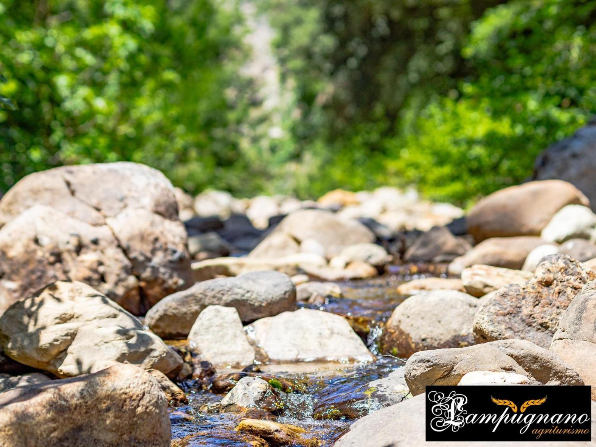 Agriturismo Lampugnano ปากานิโค ภายนอก รูปภาพ